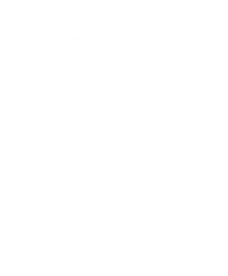Shield Vector Image