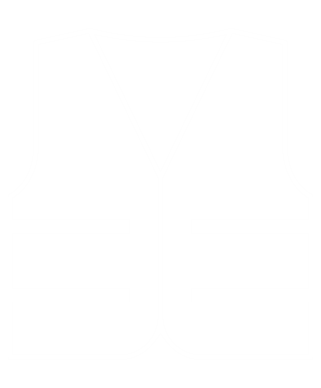 Shield Vector Image